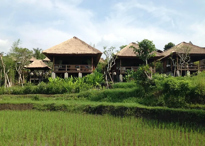 Sawah Indah Villa